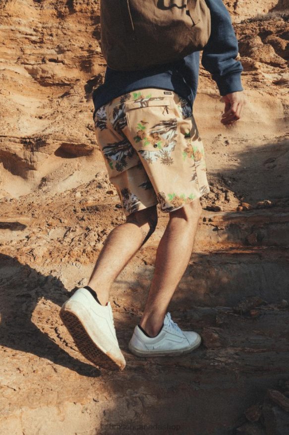 Brixton Apparel Straw Men Temple Trunk HFR00P156